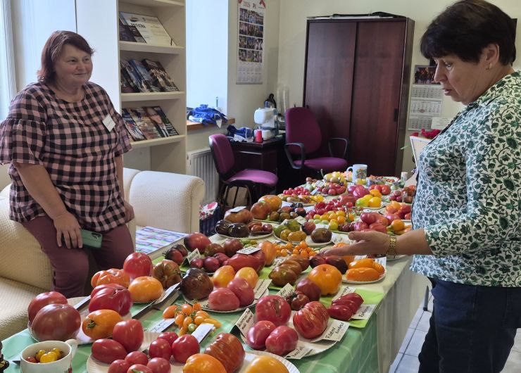 Wystawa pomidorów w Centrum Kultury Polskiej